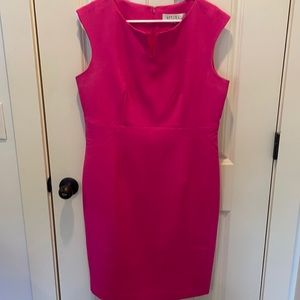 Kasper Bright Pink Dress